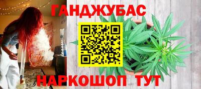 дмт Брянск