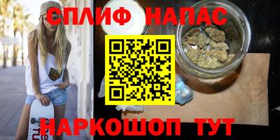 дмт Брянск
