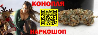 дмт Брянск
