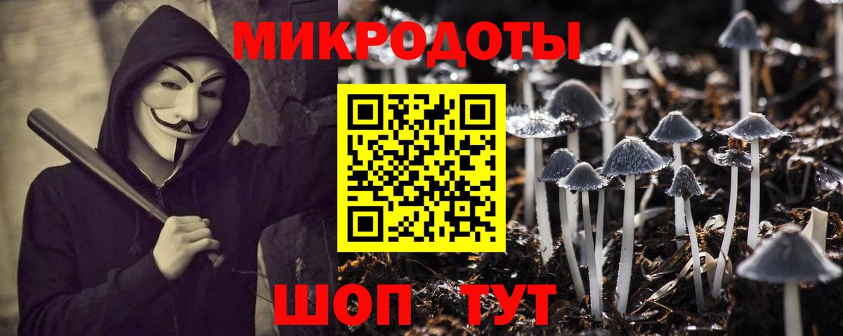 Псилоцибиновые грибы мицелий Джанкой