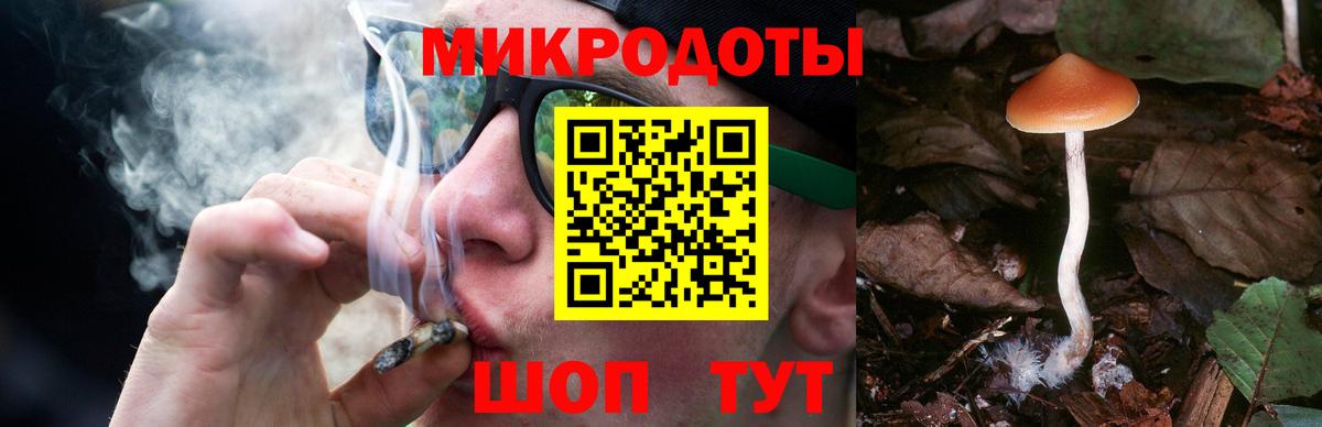 Джанкой  Псилоцибиновые грибы Cubensis  Вход с VPN  Псилоцибиновые грибы Magic Shrooms 